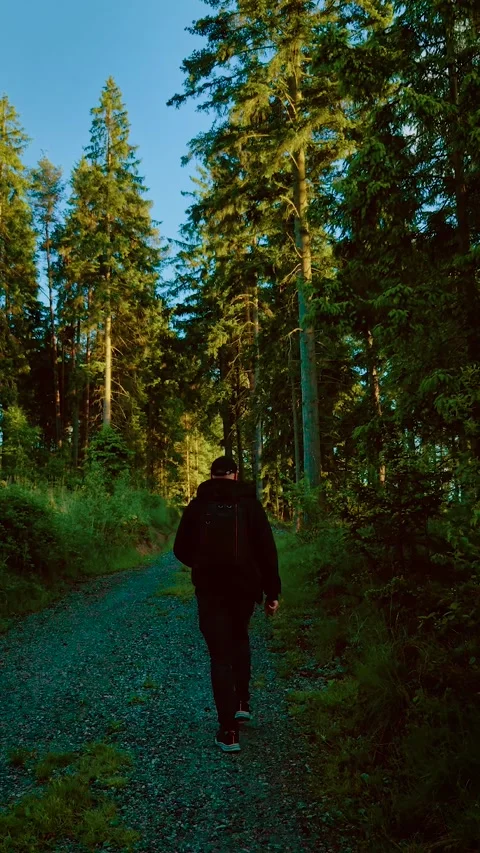 Backpacker walking along green forest trail in sunny weather. Person moving Stock Footage 319991007