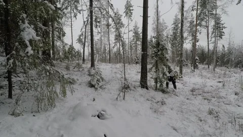 Backpacker walking away from camera and back in a forest clearing Stock Footage 145954407