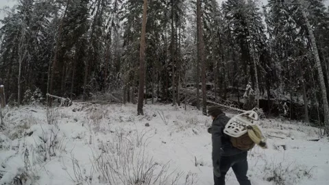 Backpacker walking away from camera to the forest edge and back Stock Footage 145944844