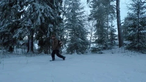 Backpacker walking briskly right to left and back, on a blue coloured forest Stock Footage 146728922