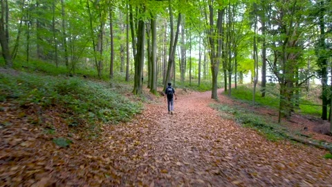 Backpacker walking in the Chantry woods, Guildford, England in Autumn 動画素材 220666309