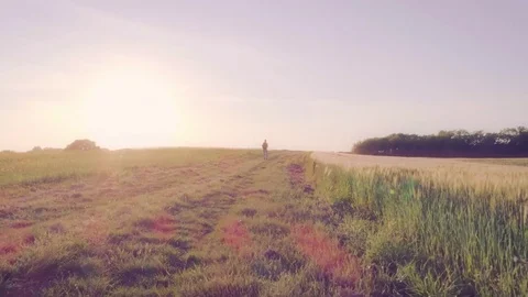 Backpacker Walking in Countryside at Sunset Stock Footage 75743574