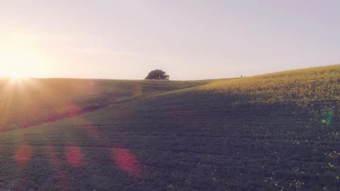 Backpacker Walking in Countryside at Sunset Stock Footage 92924804