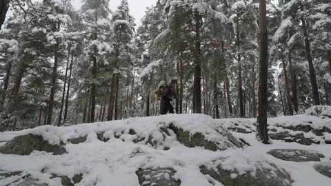 Backpacker walking criss cross on a quiet forest Stock Footage 145953628