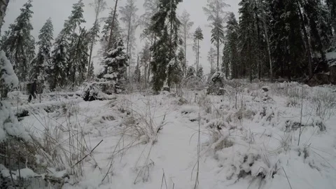 Backpacker walking in a forest clearing and some snow Stock Footage 145946919