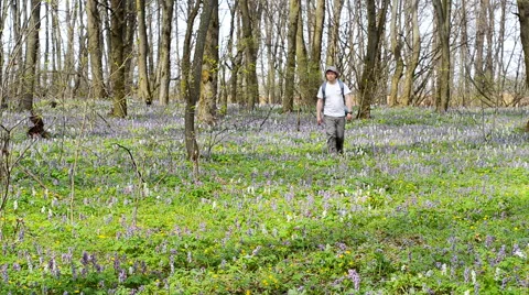 Backpacker walking on forest trail. Stock Footage 62642869