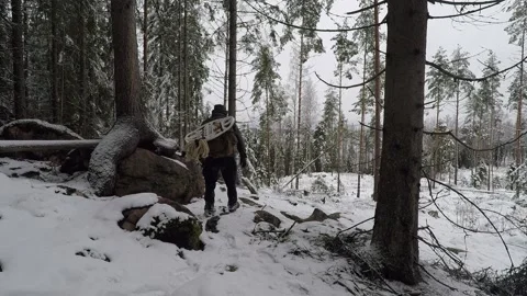 Backpacker walking past a tree that grows on a rock Stock Footage 145946333