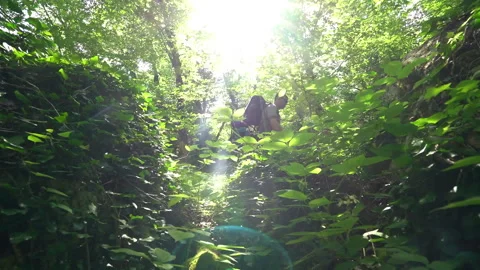 Backpacker Walking Through Dense Forest with Camera Moving Toward Him Video stock 312759053