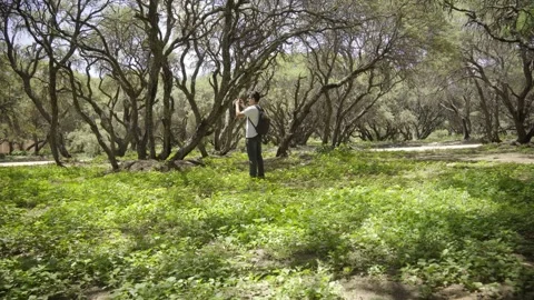 Backpacker walking through a forest exploring and enjoying nature and fresh air  Stock Footage 273586553