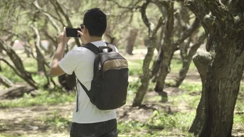 Backpacker walking through a forest exploring and enjoying nature and fresh air Stock Footage 273586838