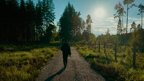 Backpacker walking through green forest road under sunny sky. Explorer moving Stock Footage 315465059