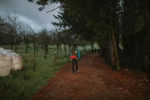 Backpacker walking through a hiking path in the woods. Stock Photos