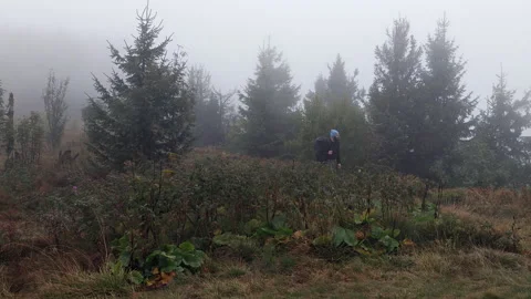 Backpacker Walking Through Mountain Meadow in Heavy Fog and Mist 库存影片 347459203