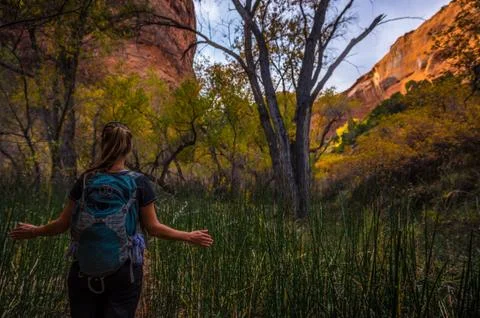 Backpacker walking through tall grass Coyote Gulch Escalante Stock Photos
