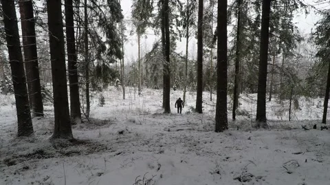 Backpacker walking towards camera on a gently sloping forest hill Stock Footage 145954354