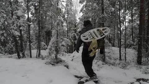 Backpacker walking under bent tree Stock Footage 145949385
