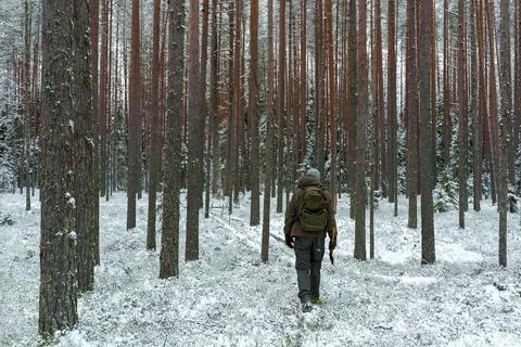 A backpacker walks through a snowy forest. A winter forest walk. Survival c.. Stock Photos