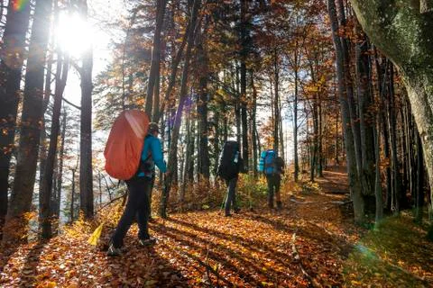Backpackers hiking in the forest Photos
