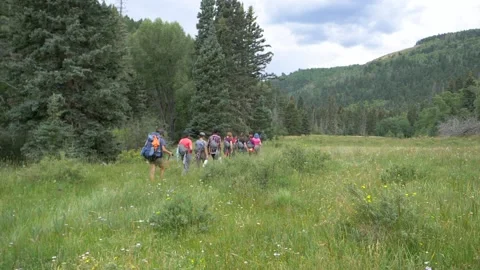 Backpackers in a lush meadow Stock Footage 146239358