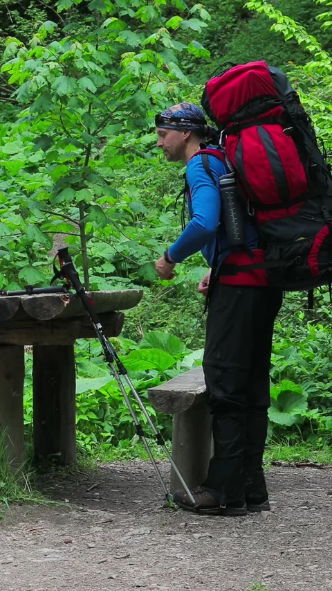 Backpackers Settle for a Rest Stop in a Lush Forest Video stock 285398880