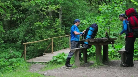 Backpackers Settle for a Rest Stop in a Lush Forest Video stock 289002850