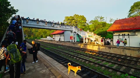 Backpackers Waiting on the Platform at Ella Station Stock Footage 343947568