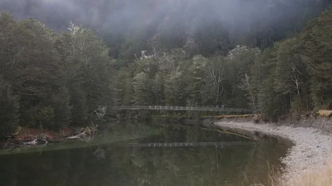 Backpackers walk across bridge into the forest on Milford Track Stock Footage 95978649