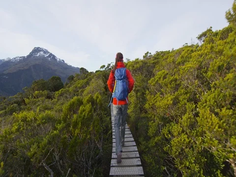 Backpackers Walking On Boardwalk Amidst Trees At Routeburn Track Stock Footage 78843809