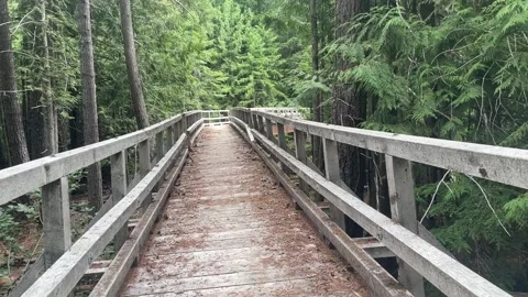 Backpacking bridge in Glacier Peak Wilderness Stock Footage 221581706