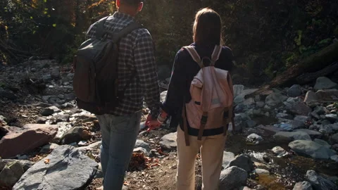 Backpacking in forest at weekend Stock Footage 157364924