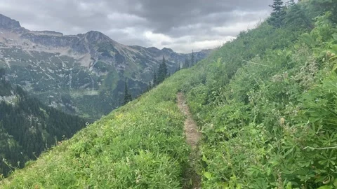 Backpacking Glacier Peak Wilderness above Buck Creek Stock-Footage 221581712