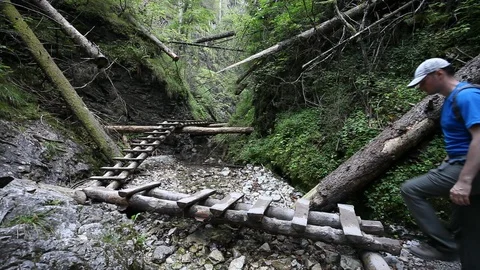 Backpacking hiker man going through rocky canyon Stock Footage 87634223