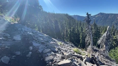 Backpacking Mount Jefferson Wilderness Oregon Stock Footage 329457517