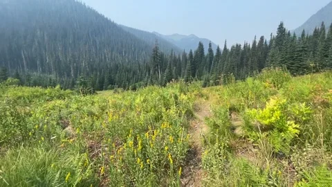 Backpacking Pacific Crest Trail, Glacier Peak Wilderness, Washington Video stock 221581326