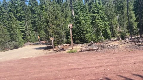 Backpacking Pacific Crest Trail at Windigo Pass Video stock 221579756