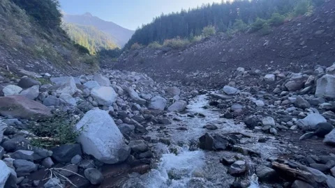 Backpacking PCT Mount Jefferson Wilderness: creek flows Video stock 329457514