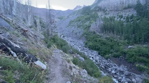 Backpacking PCT through burned forest near Mount Jefferson Video stock 329457492