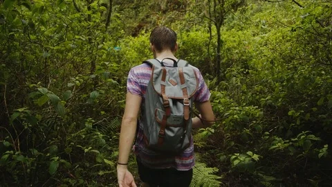 Backpacking Through Jungle Stock Footage 75254541