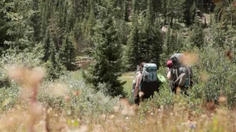 BackPacking in Wilderness 02 Video stock 9058324