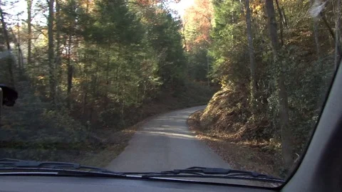 Backroad driving Stock Footage 79228871
