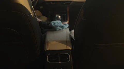 Backseat Cleaned And Fabric Repaired. Interior Stock Footage 335214330