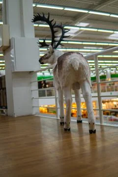 Backside of a stuffed deer with long legs, large horns with wide ears and egg Foto stock