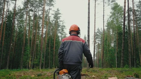 Backside view of an axeman walking among the trees Stock Footage 233639764