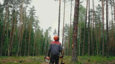 Backside view of an axeman walking among the trees Stock Footage 236831581