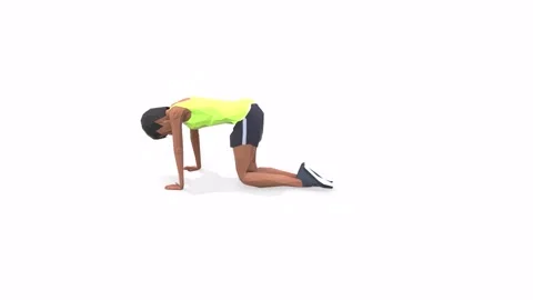 BackStretch Woman exercise animation Stock Footage 146728195