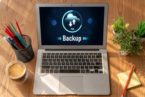 Backup Storage Data Internet Technology Business concept snugly 写真素材