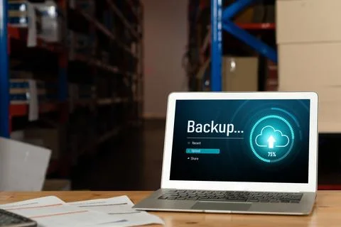 Backup Storage Data Internet Technology Business concept snugly 写真素材