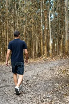Backview of a young dark-haired man walking alone on the forest path Stock Photos