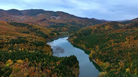 Backward Drone Descent Over Lake Cuejdel. Slow Motion Video stock 289300746