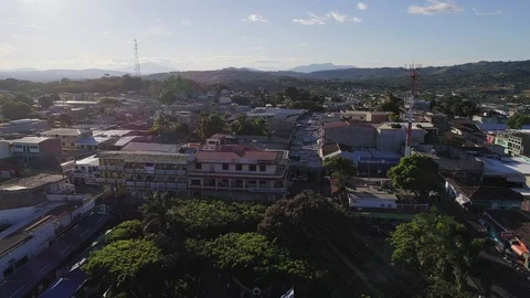 Backward Drone flight over the central park Stock Footage 101450626